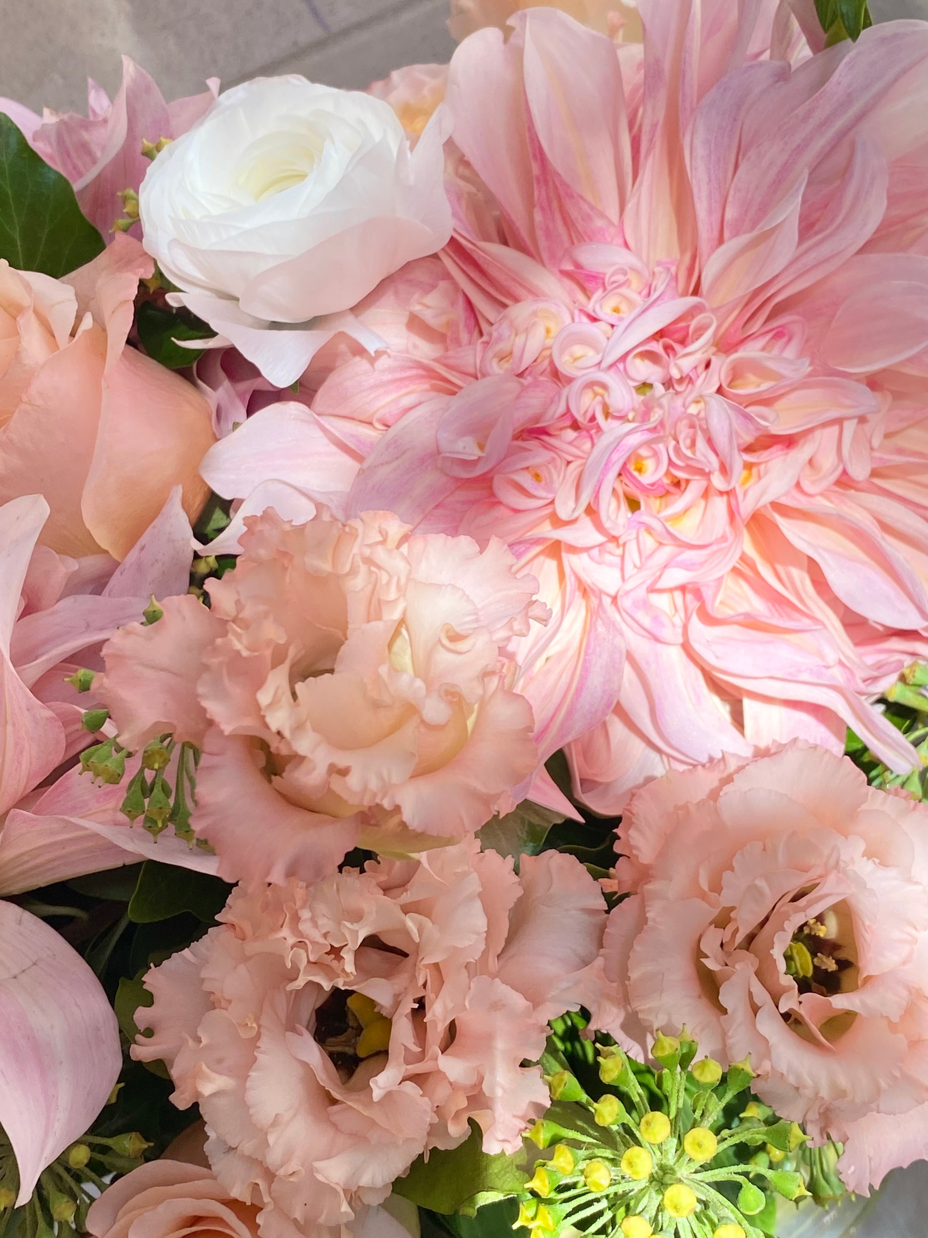 Tender bloom