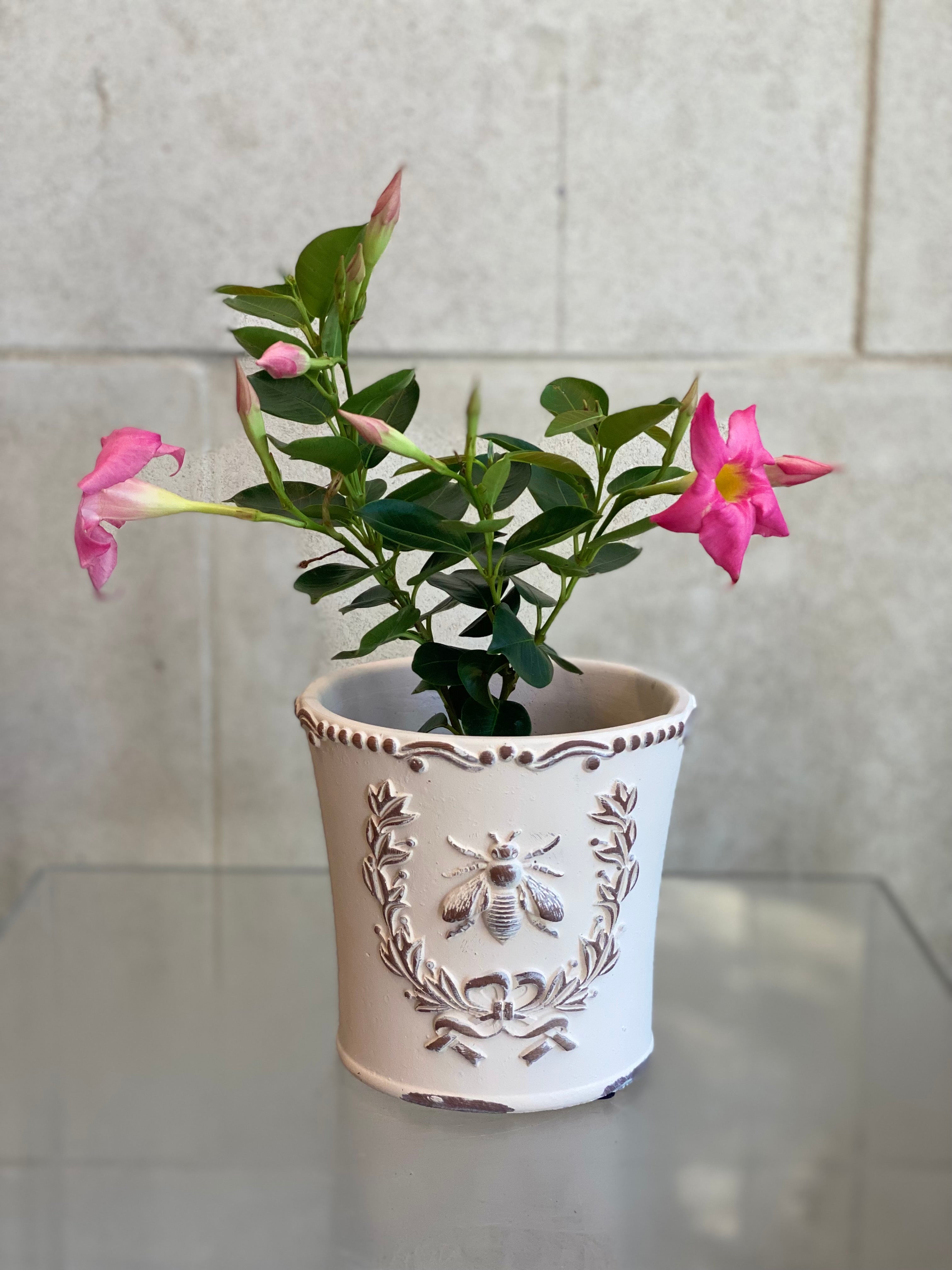 Embossed Bee Planter