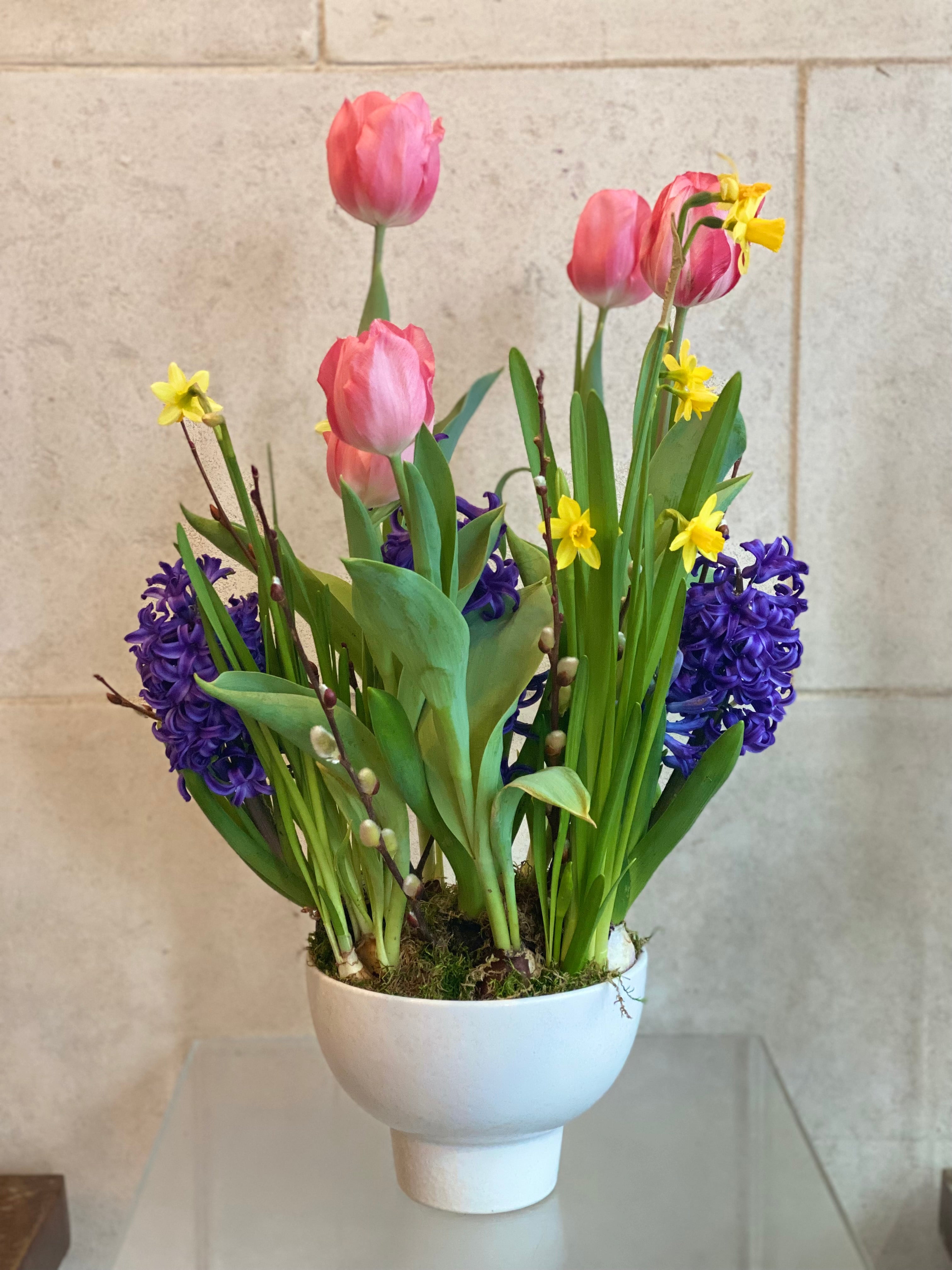 Spring bulb compote