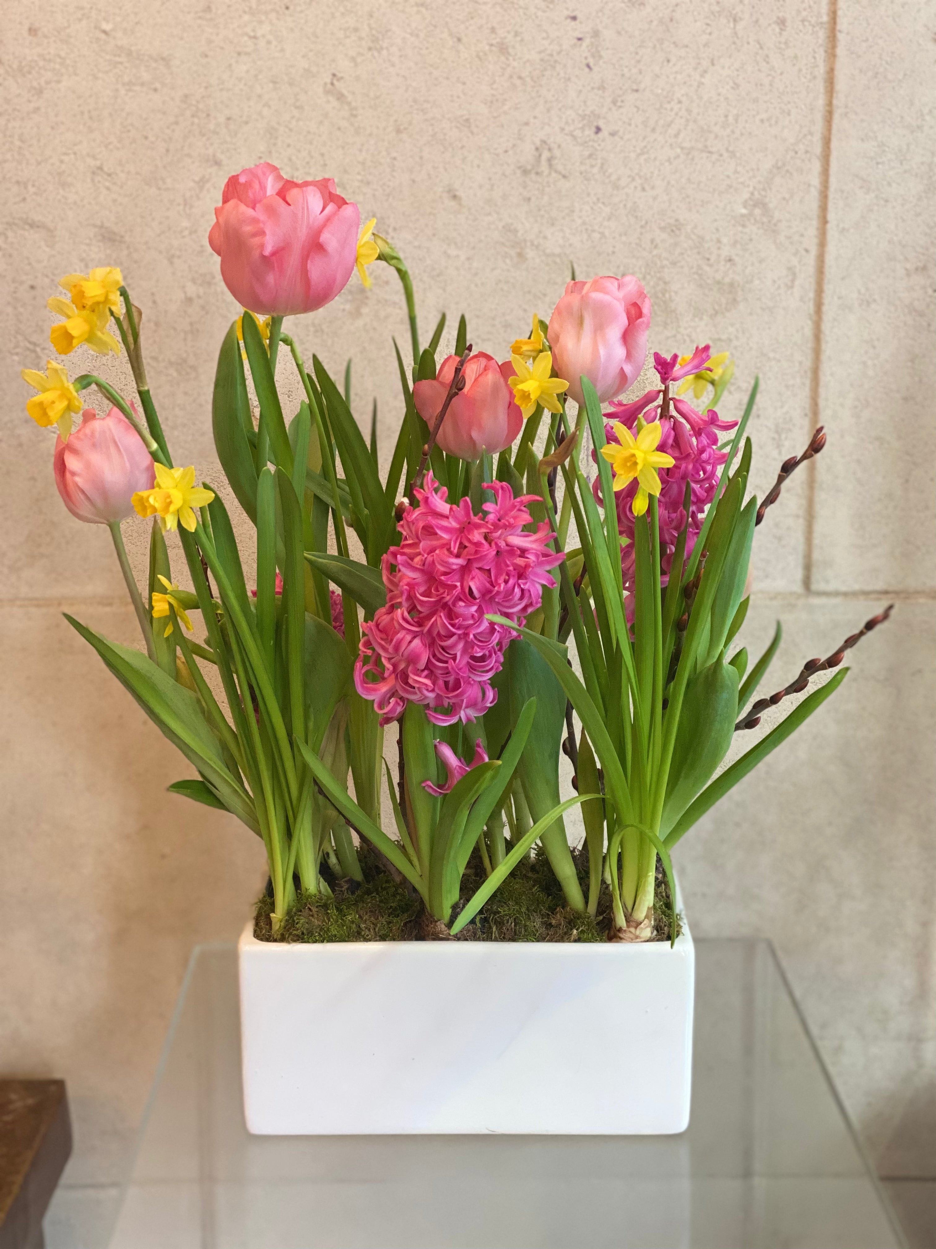 Spring Bulb Planter