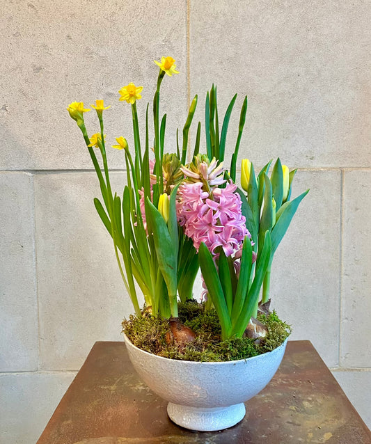 Mixed Spring Bulb Compote