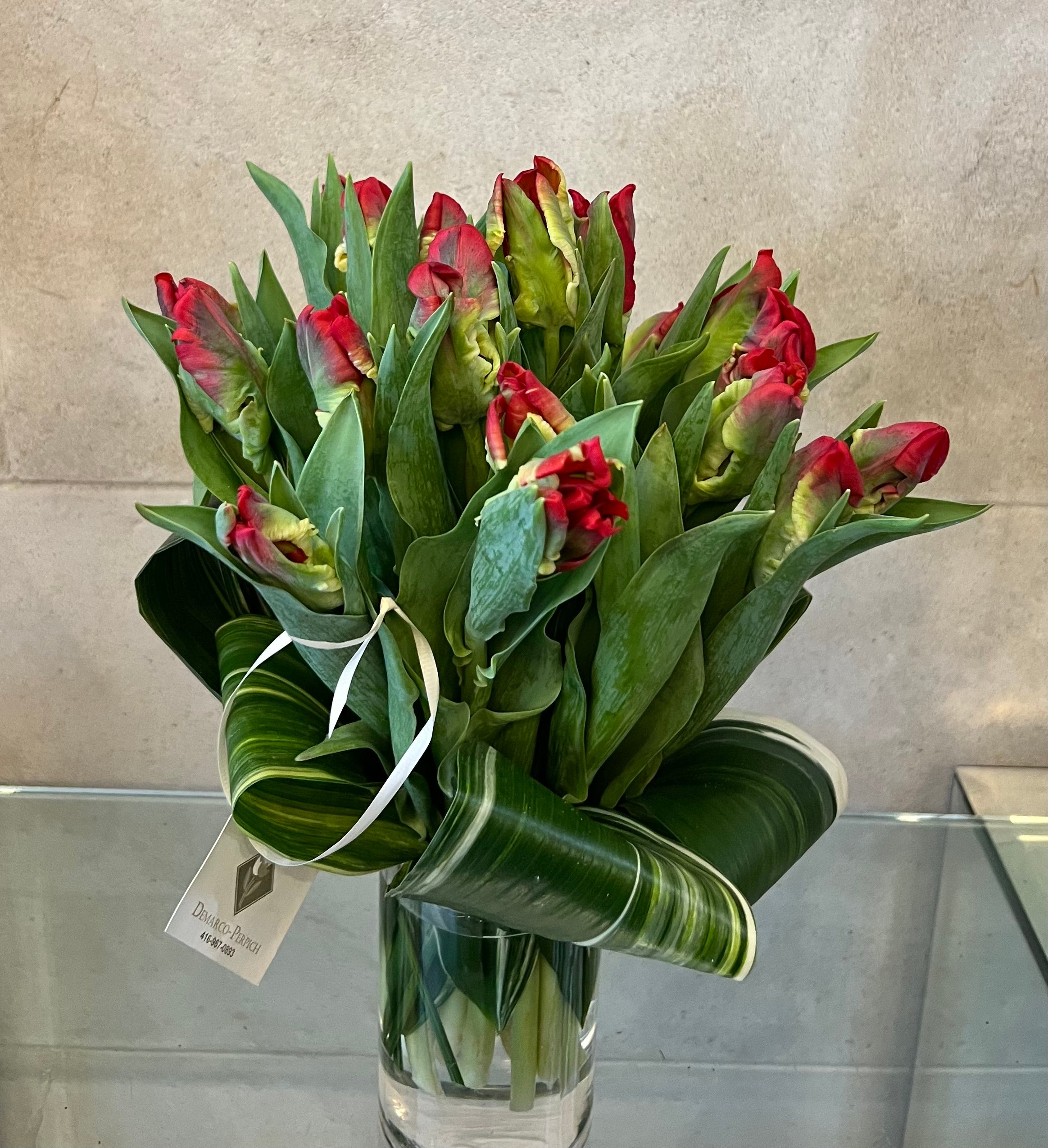 Red parrot tulips