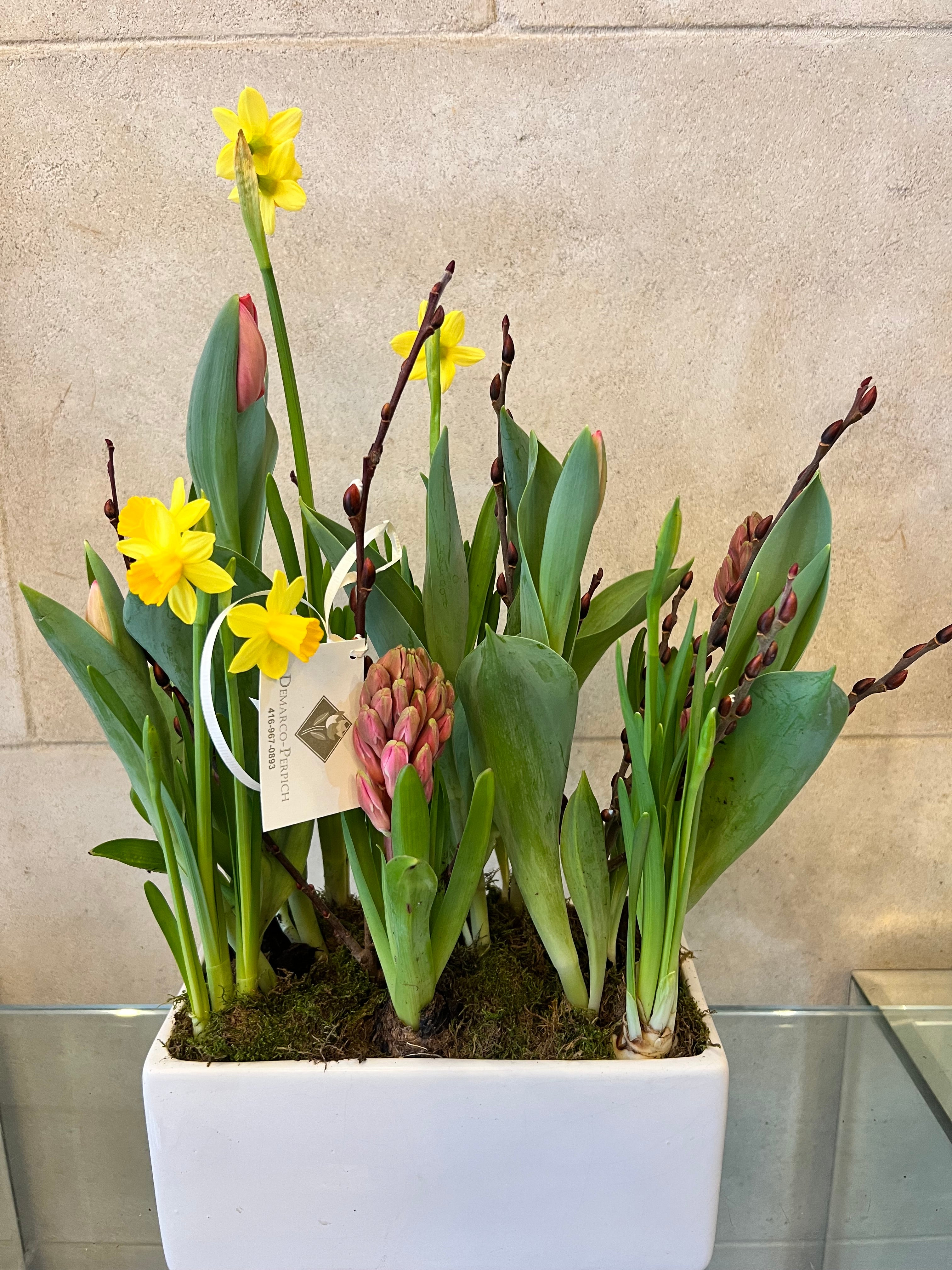 Spring Bulb Planter