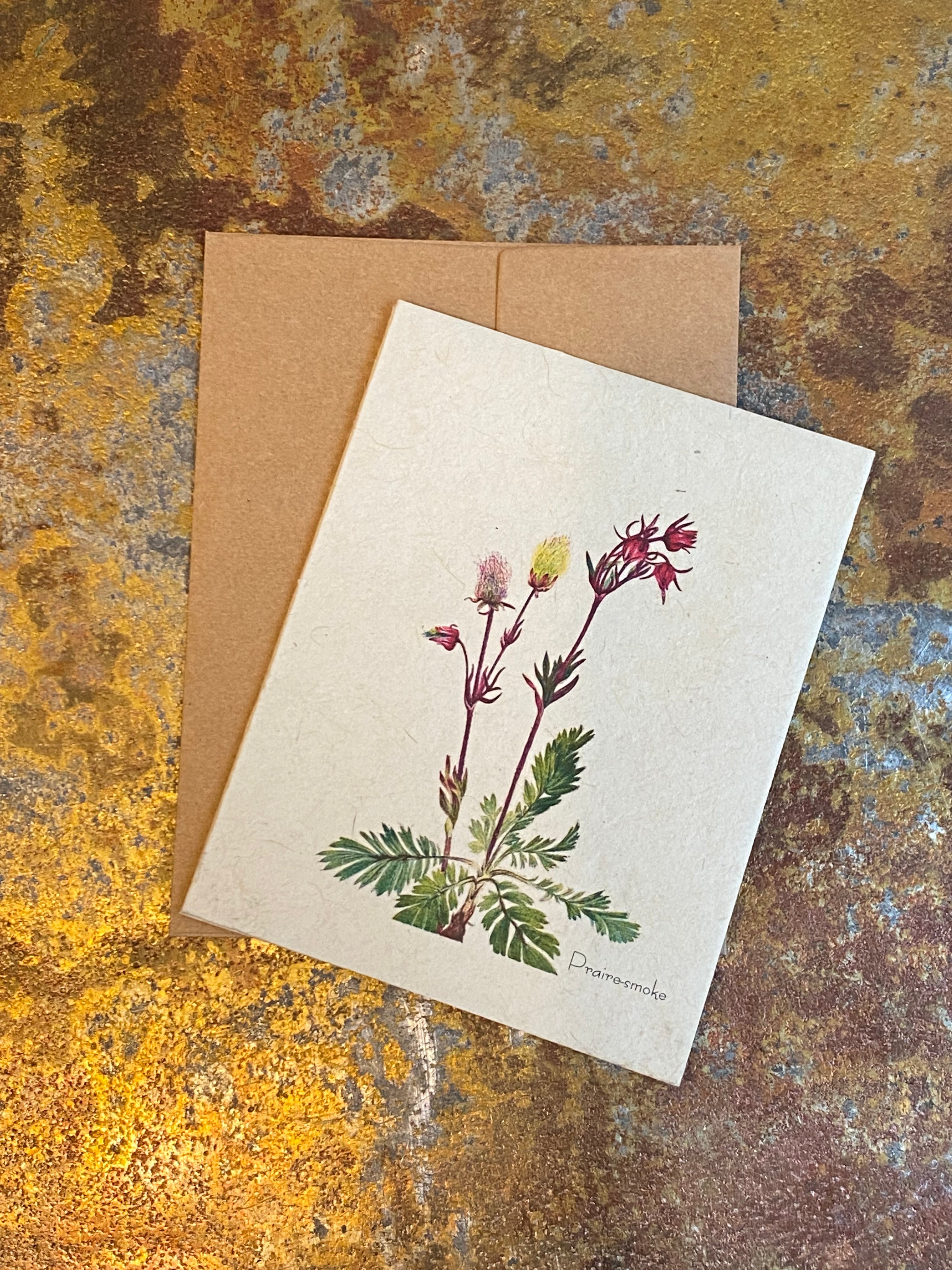 Plantable Seed Paper Greeting Cards