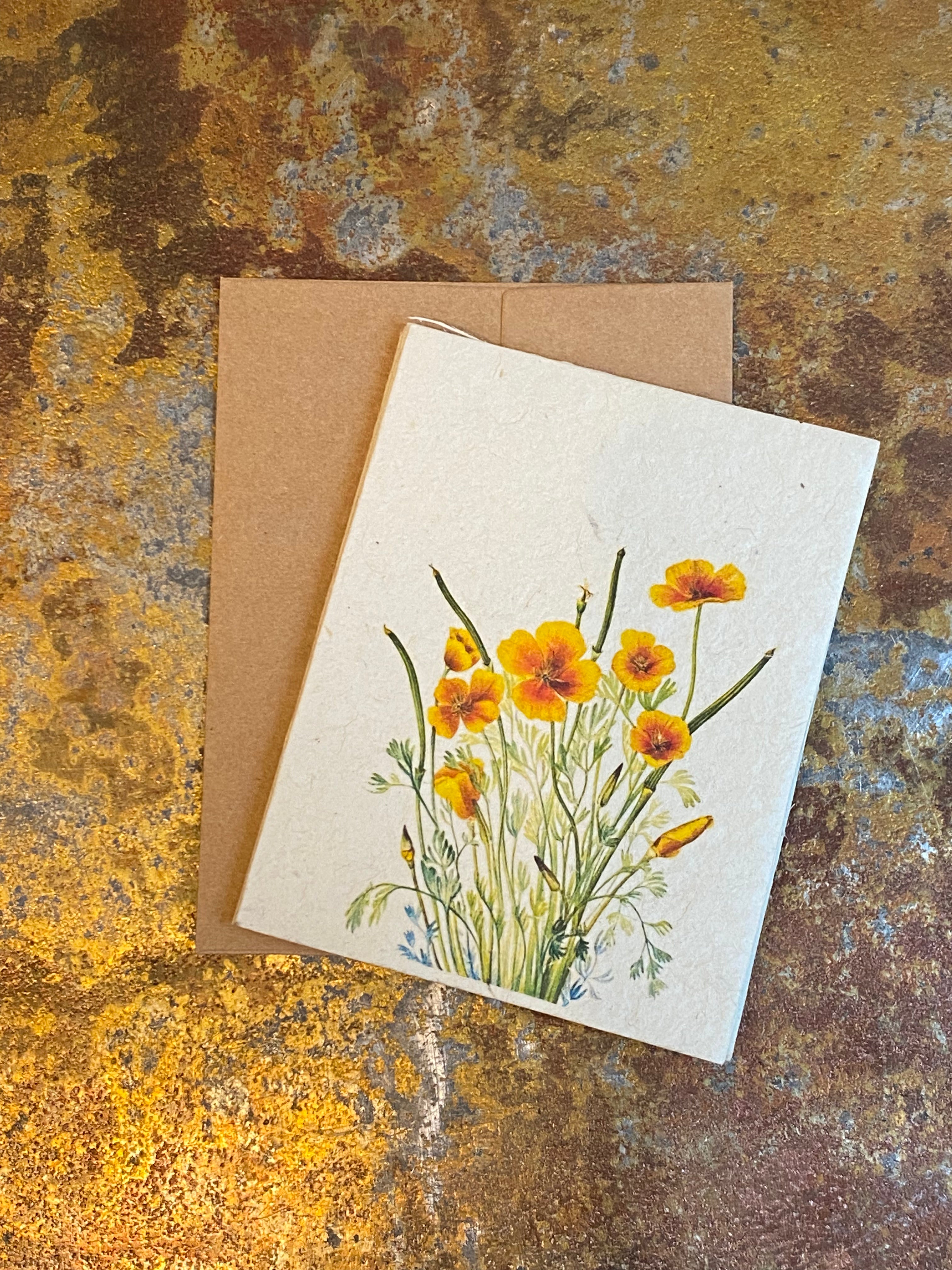 Plantable Seed Paper Greeting Cards