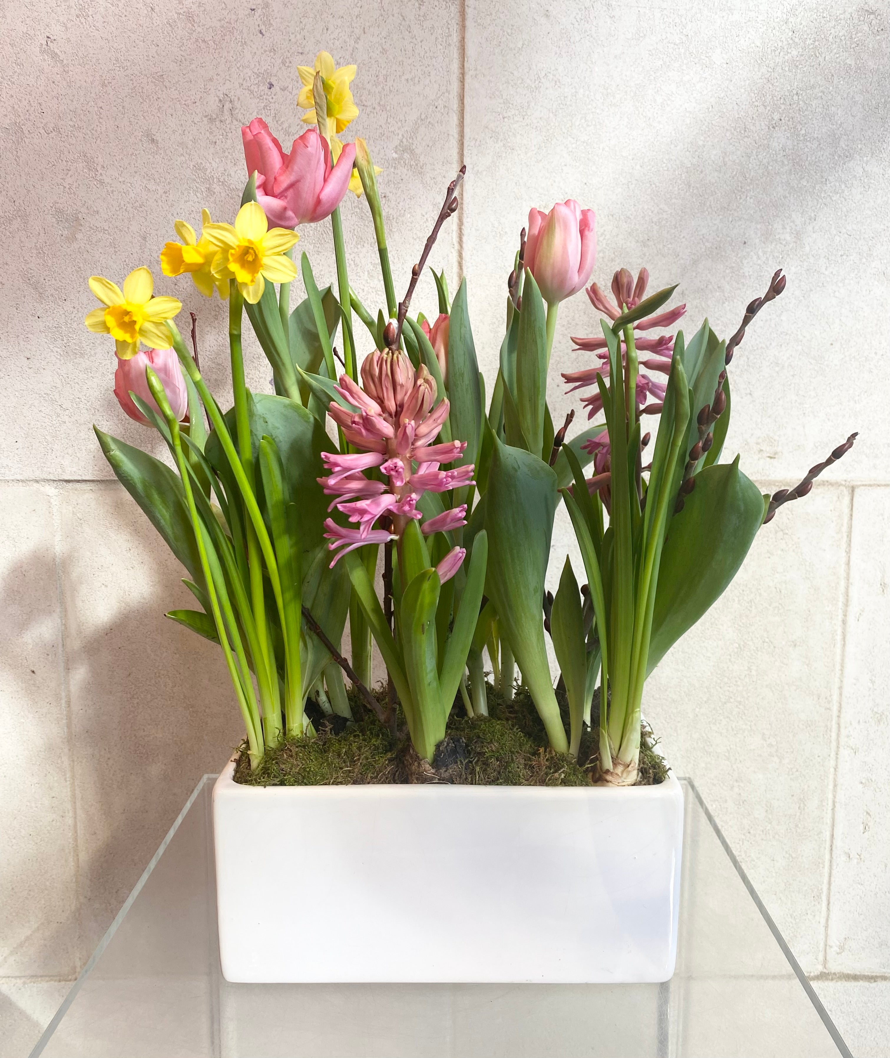 Spring Bulb Planter