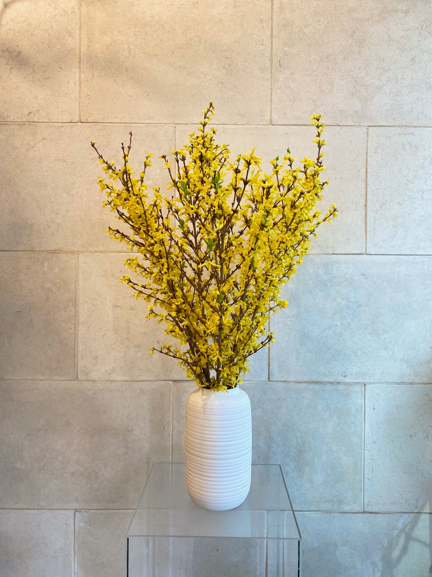 Medium Ridged Matte Vase