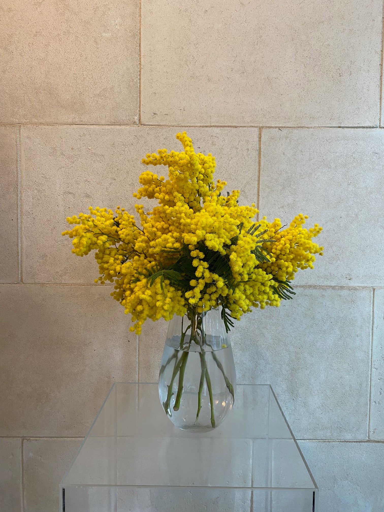 Large Wide Optic Glass Vase