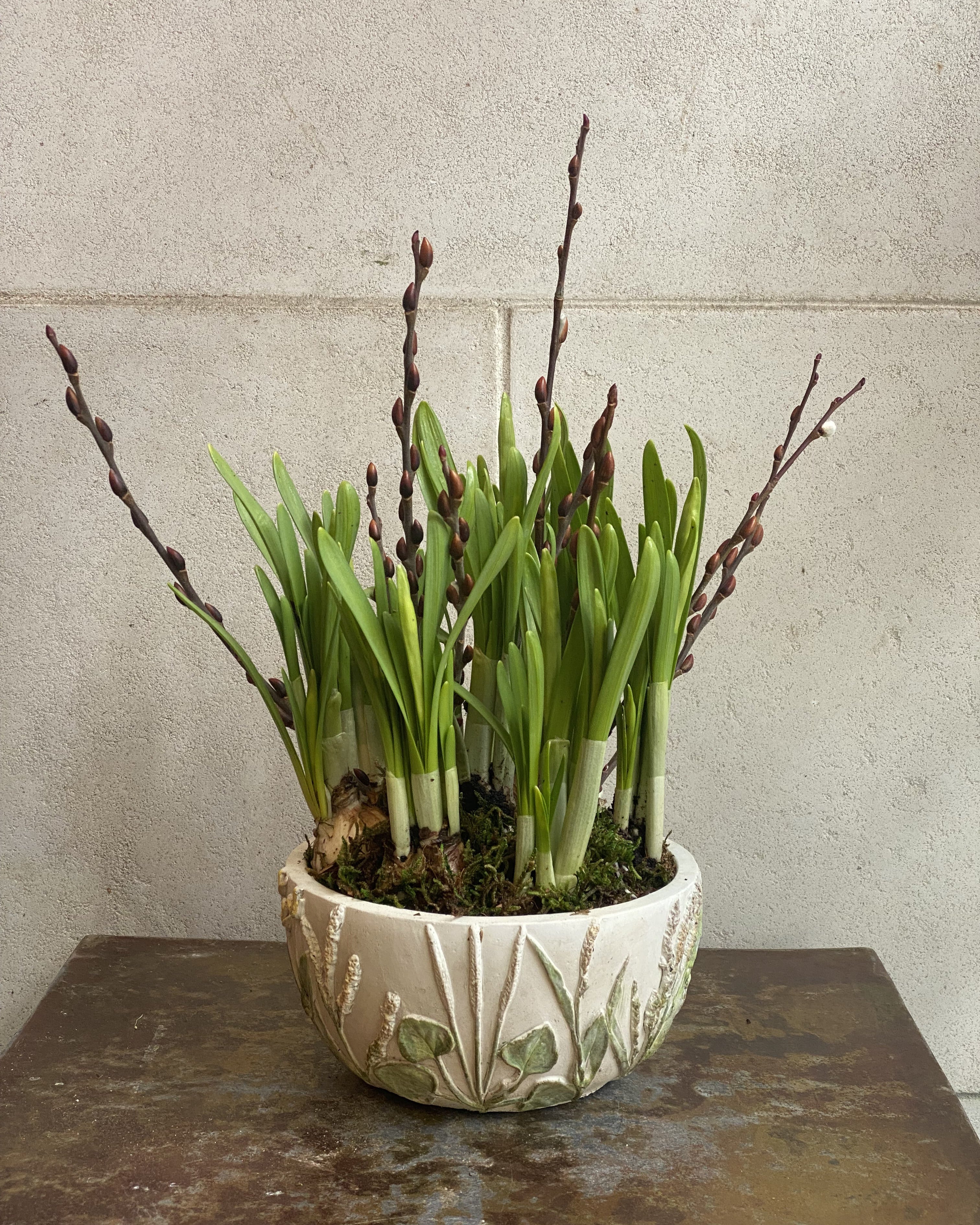 Mini Daffodils in Floral Planter