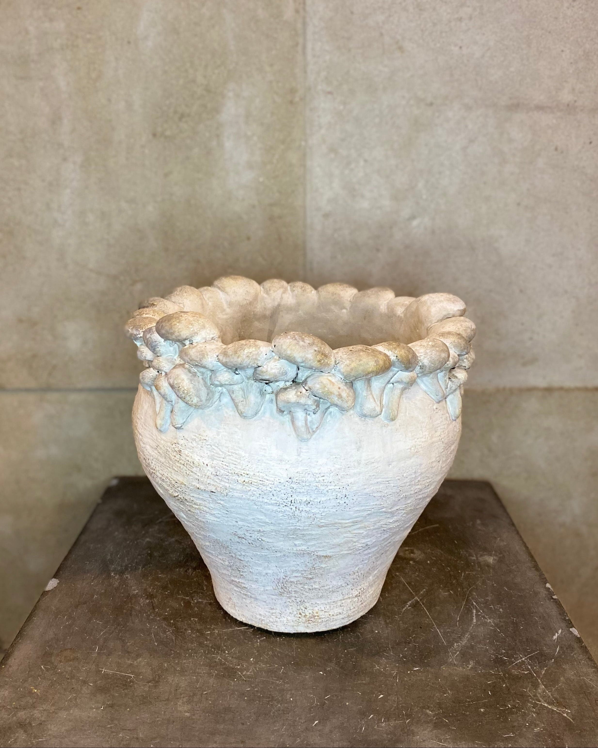 Mushroom & Butterfly Rimmed Planters