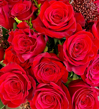 Dozen red roses