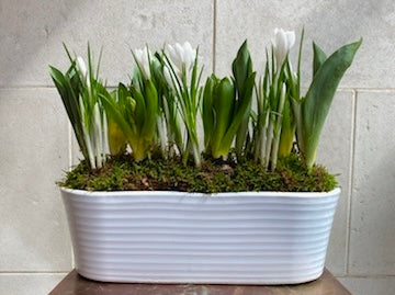 Callie spring planter