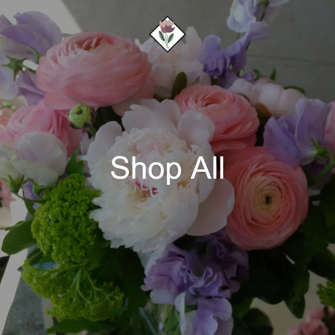 Shop All