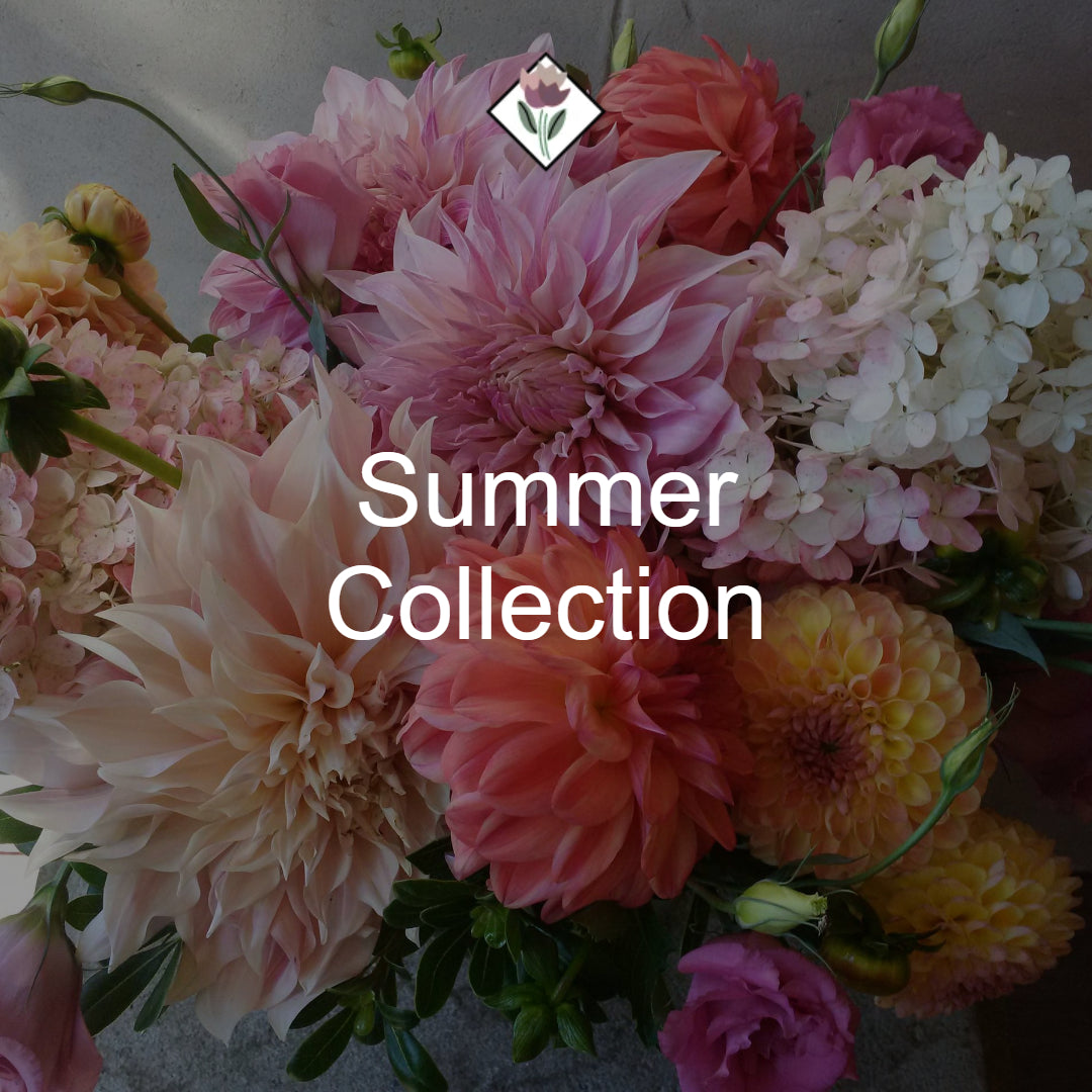 Summer Collection