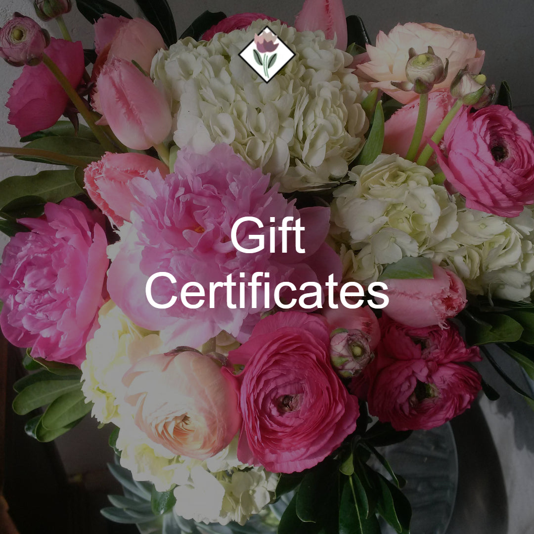Gift Certificates