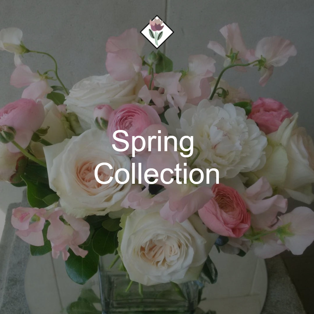 Spring Collection