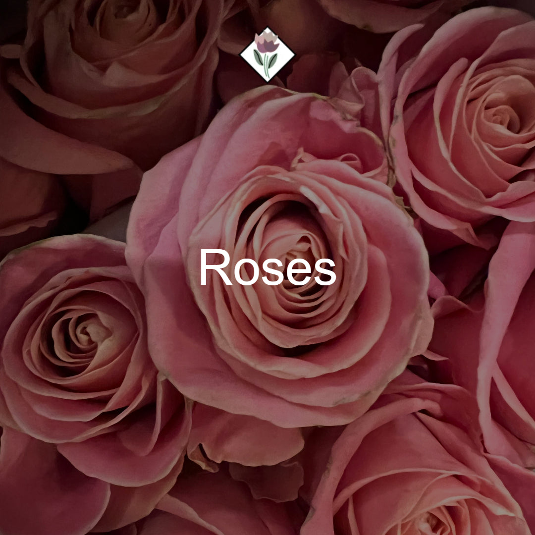 Roses