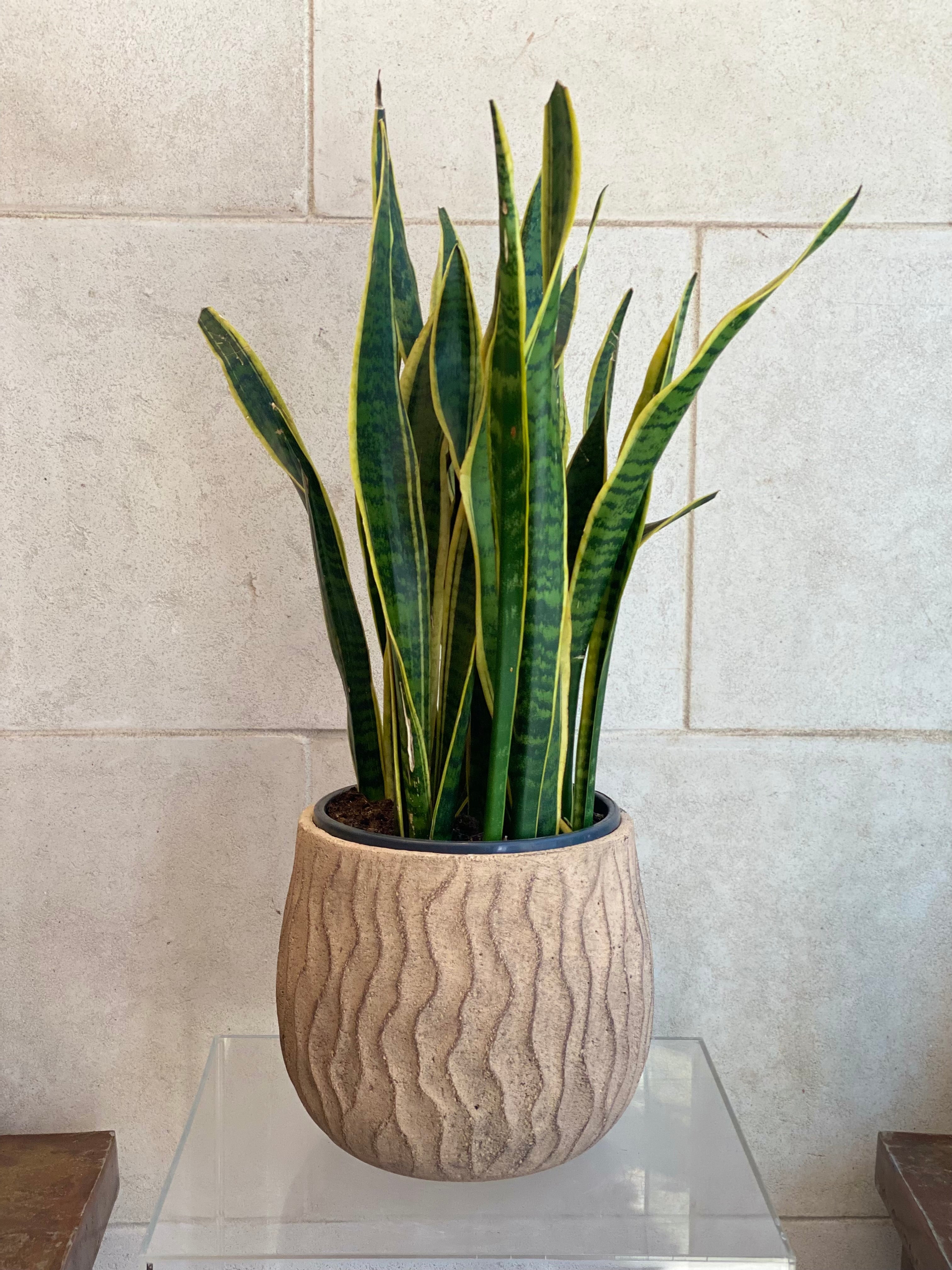 Vertical Wave Planters