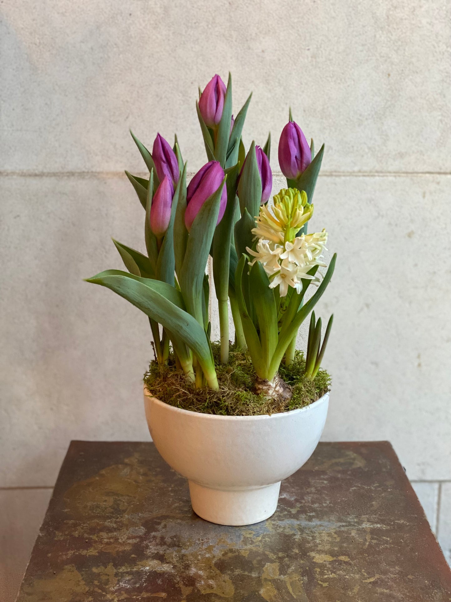 Mixed Spring Bulb Compote