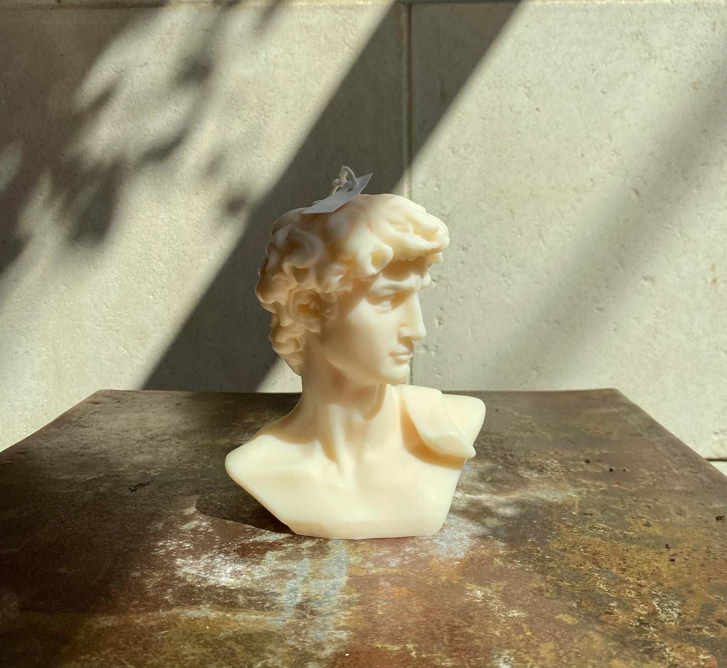 Michelangelo’s David Head Candle