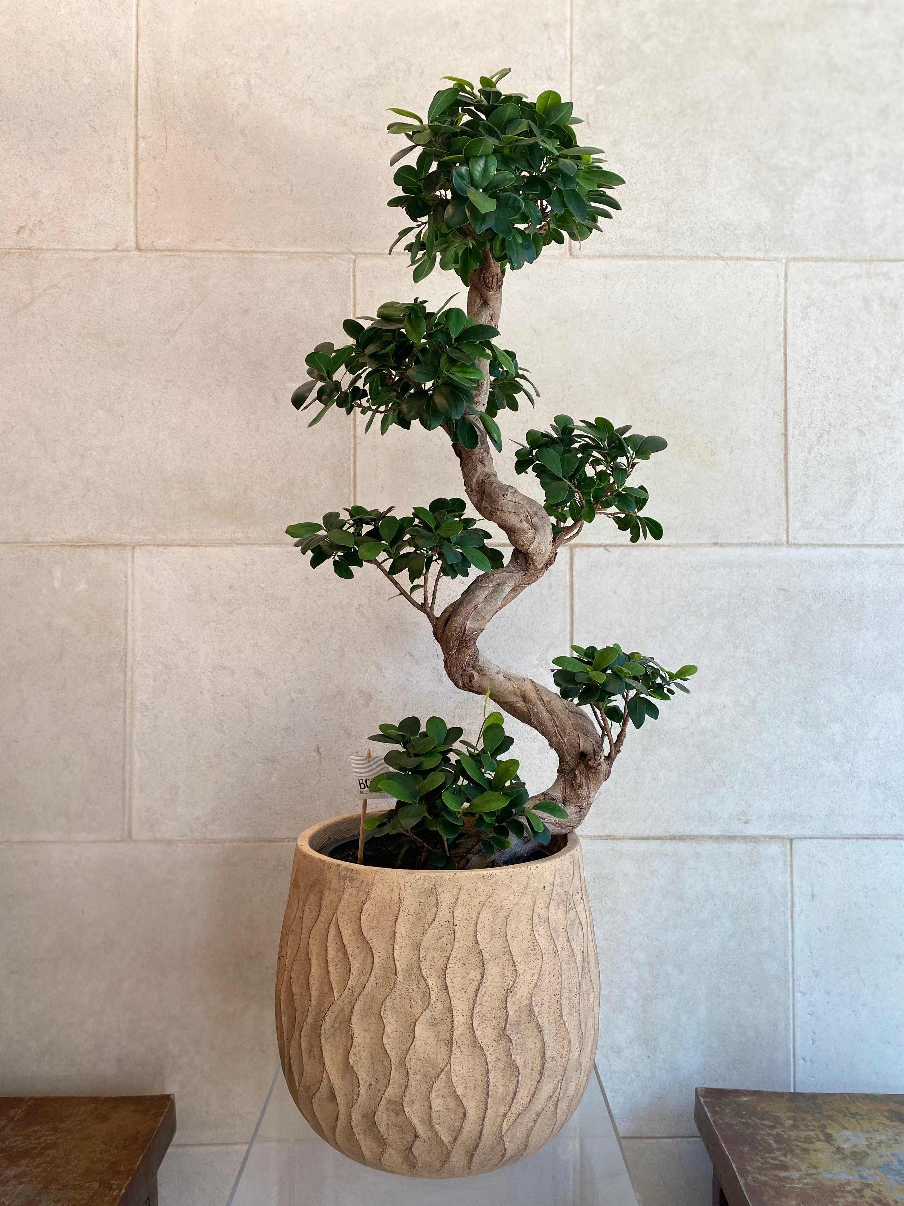 Vertical Wave Planters