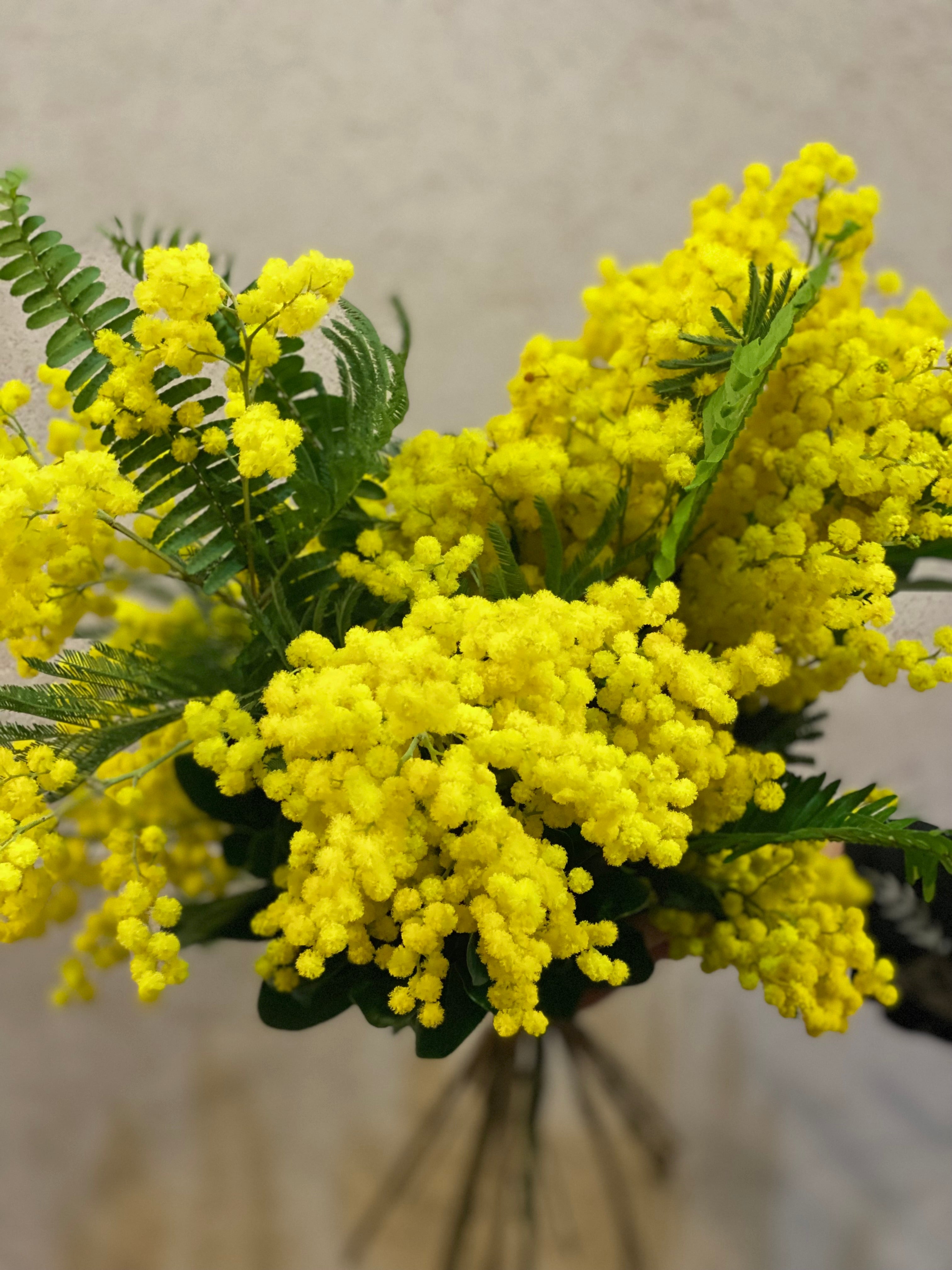 Mimosa Bouquet
