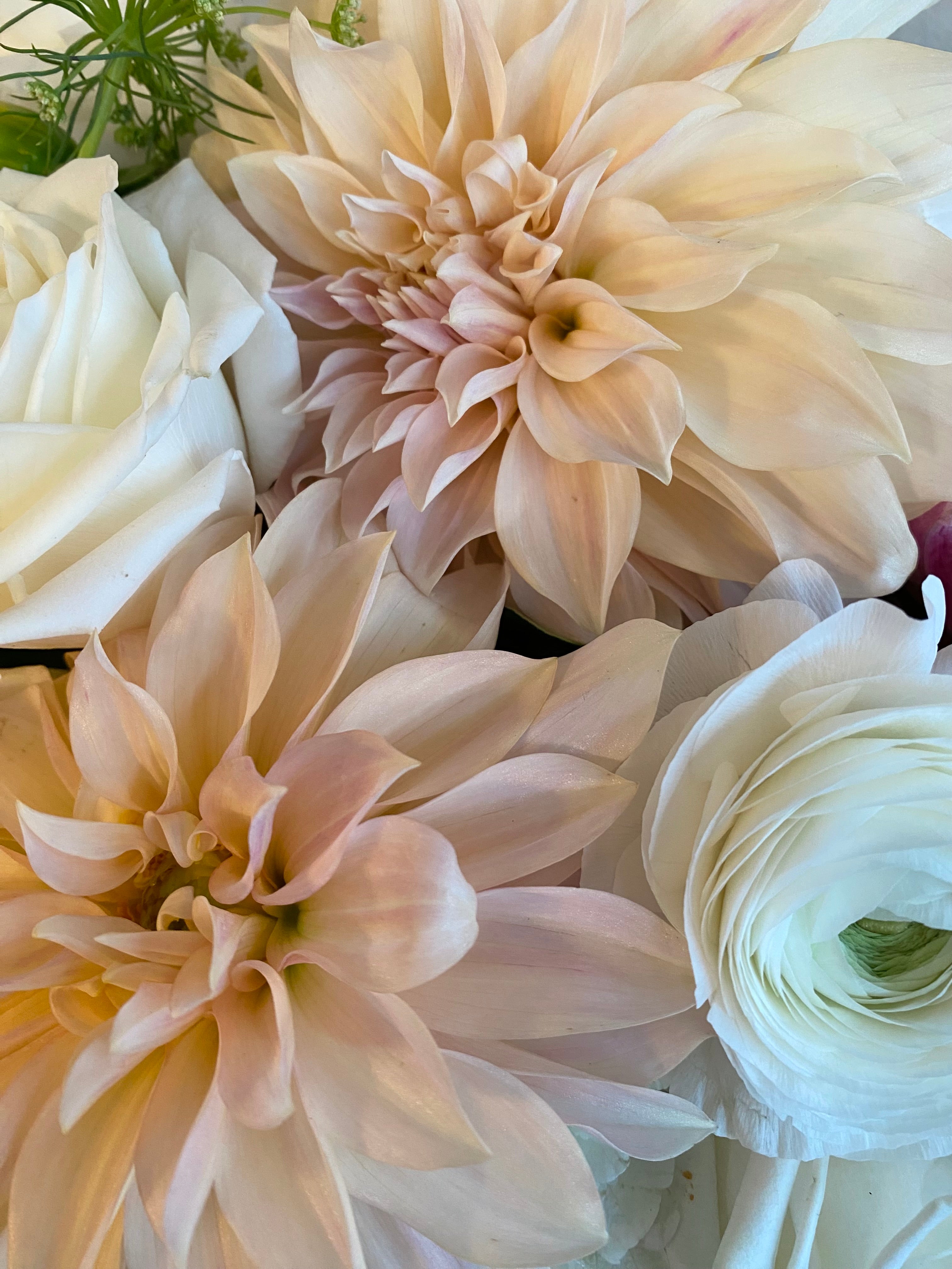 Blush & Ivory Arrangement