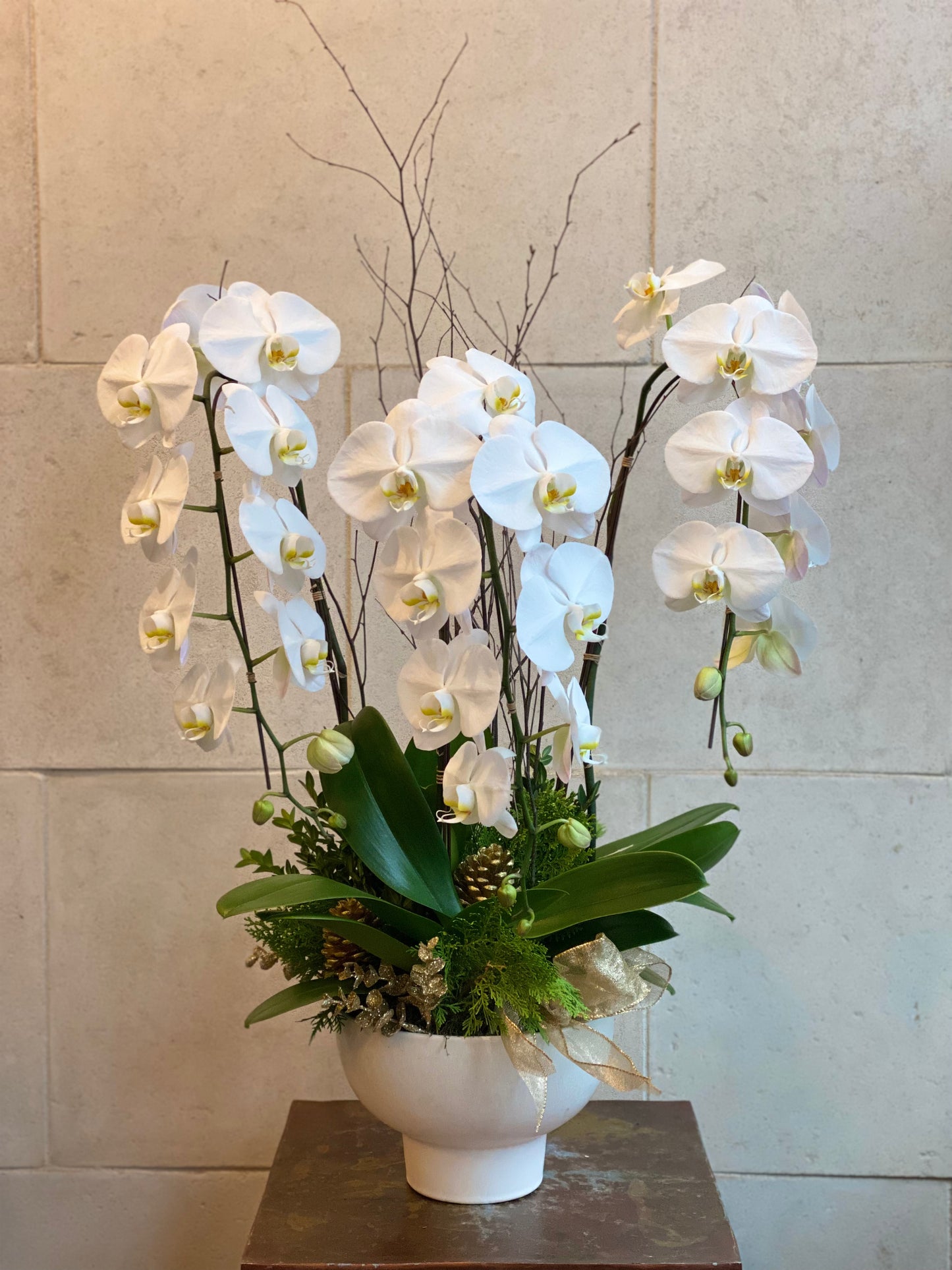 Deluxe Christmas Orchid Planter