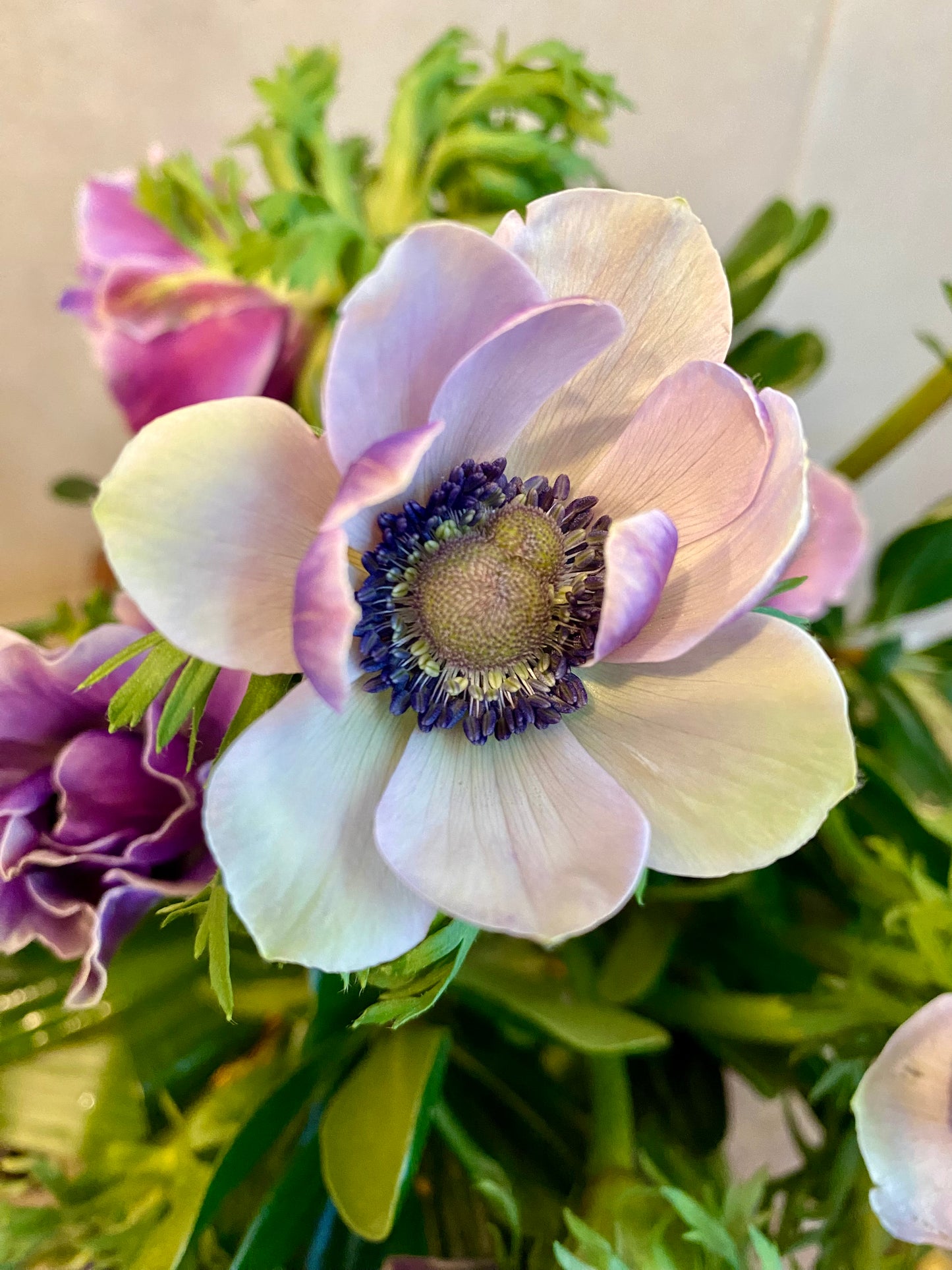 Anemones in a Vase