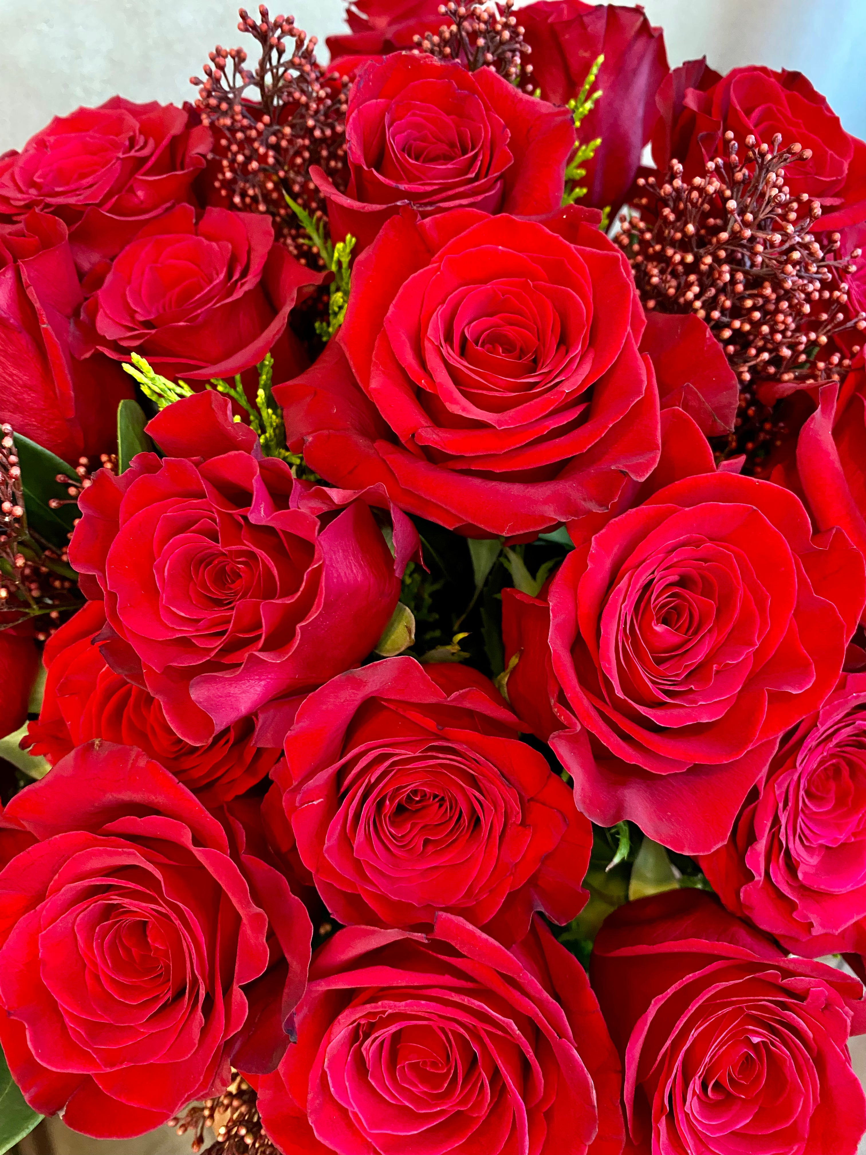 Red Rose Elegance