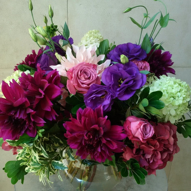 Vibrant Arrangement