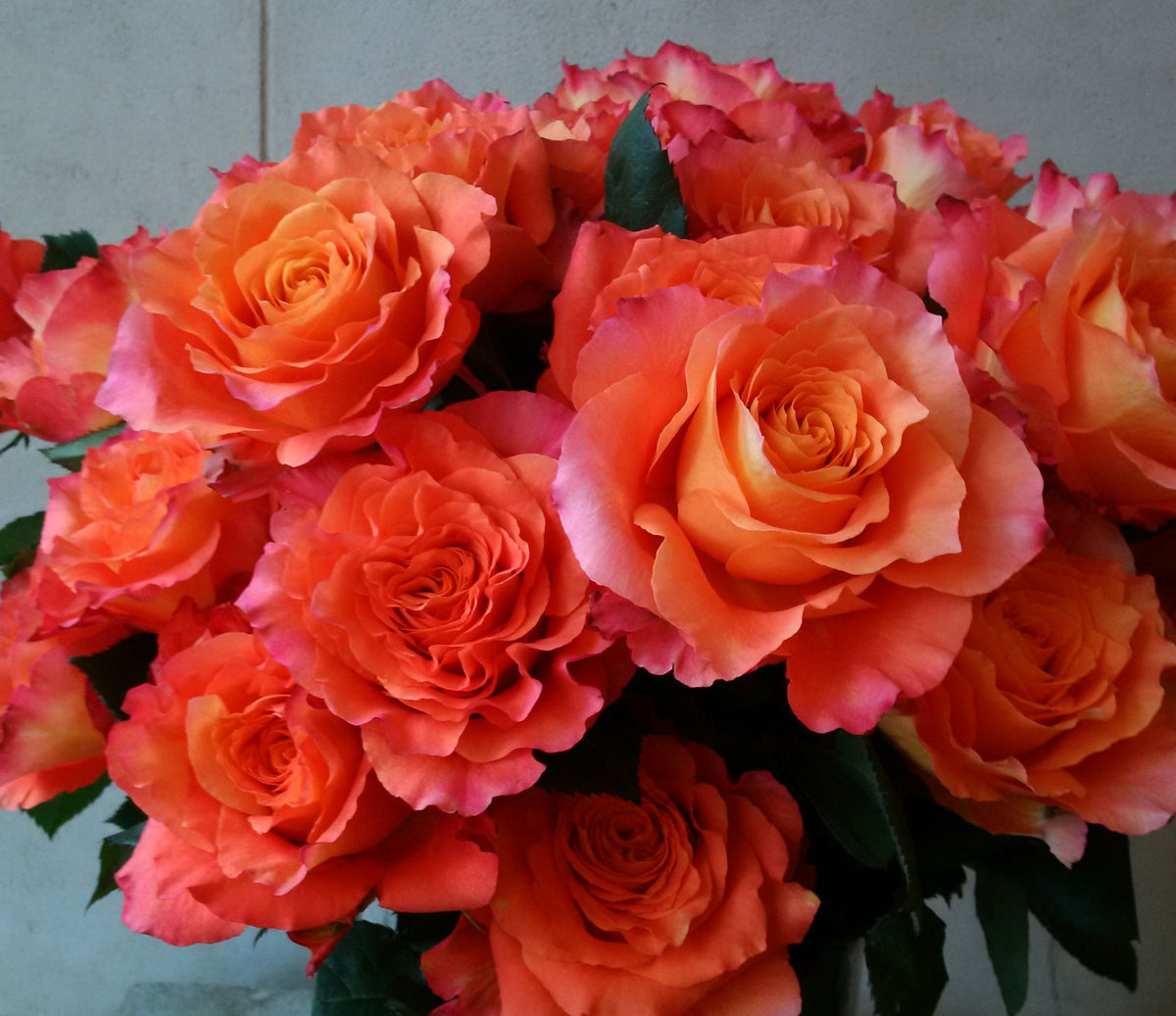 Dozen roses with seasonal accent flowers and fresh greenery, available as a hand-tied bouquet or vase arrangement.