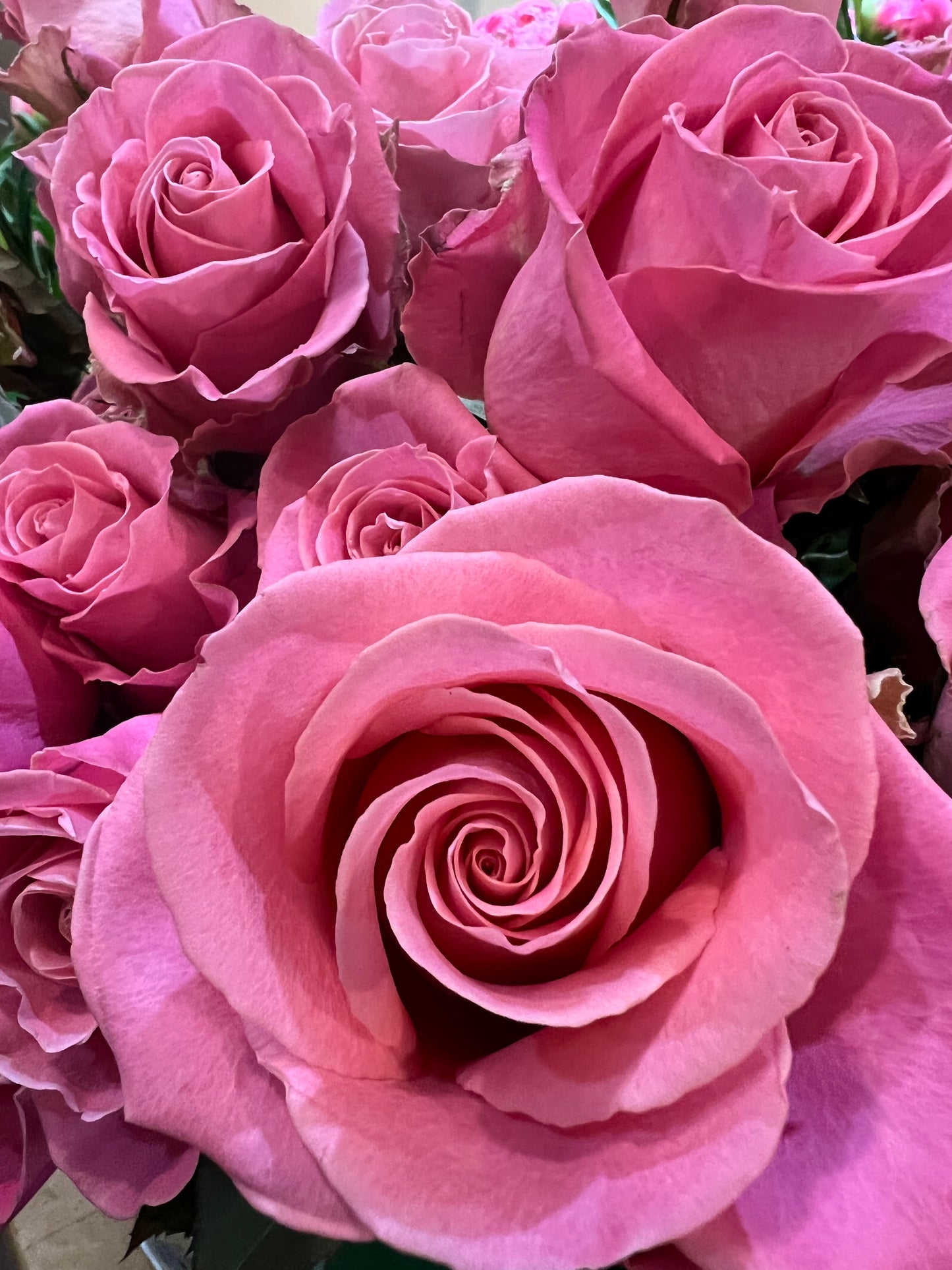 Mother’s Day Roses