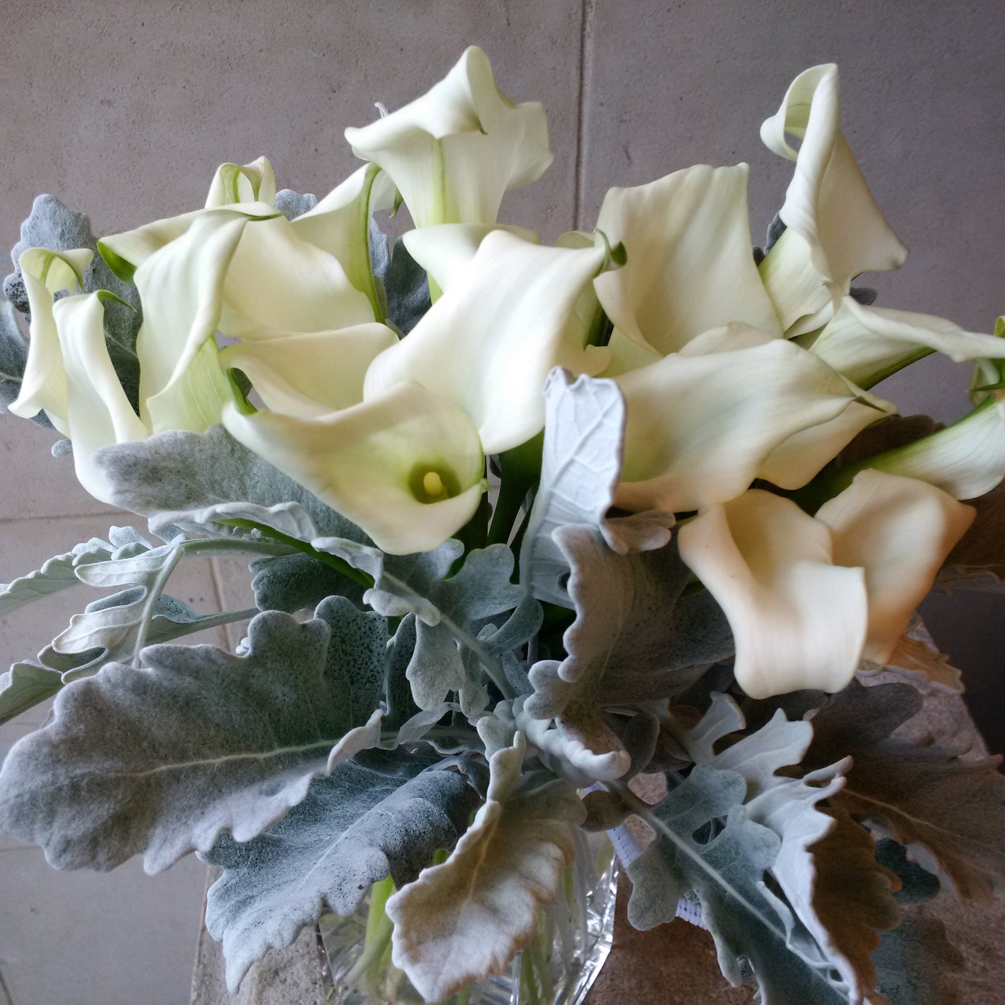 Mini Callas